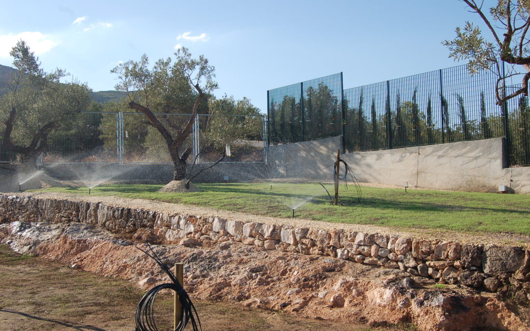 Instalación y automatización de riego para el jardín